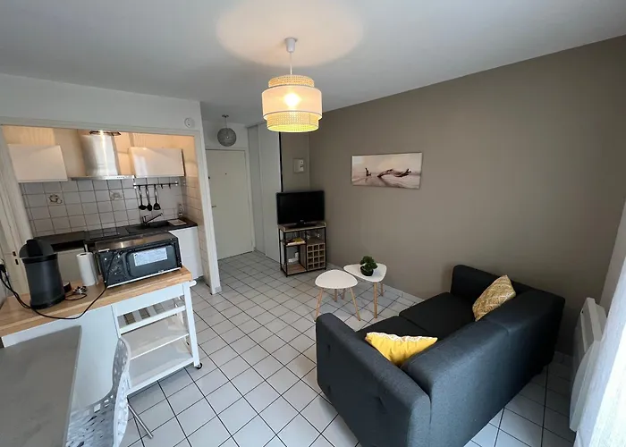 Apartamento En Face Du Palais Des Sport Grenoble